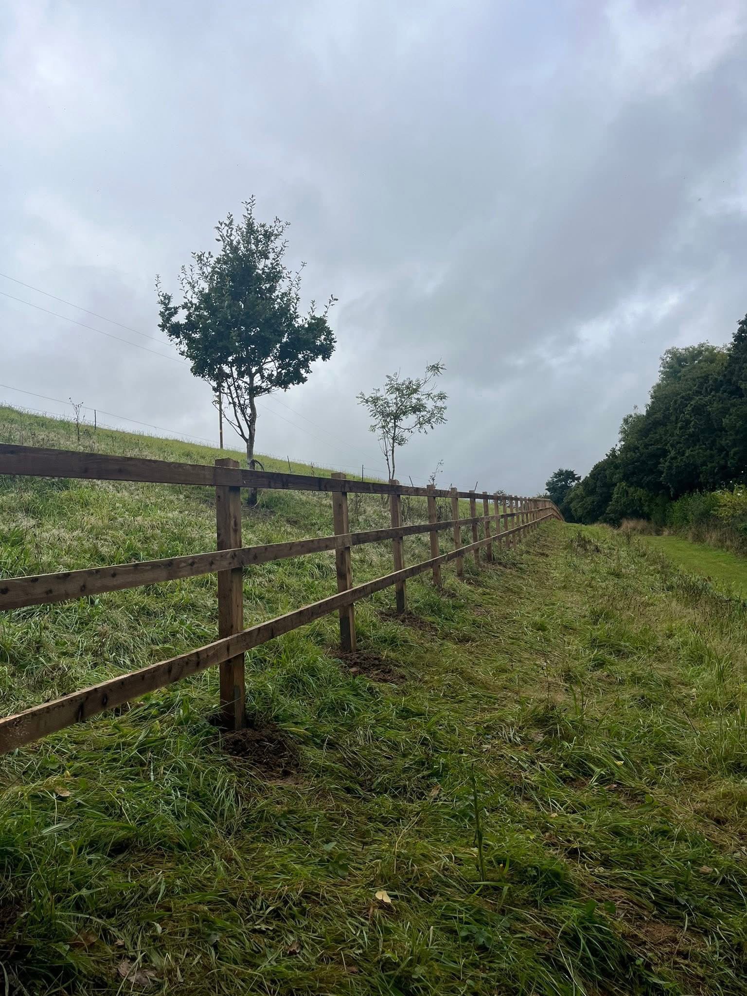 Hand-built post and rail timber fencing along a rural paddock boundary