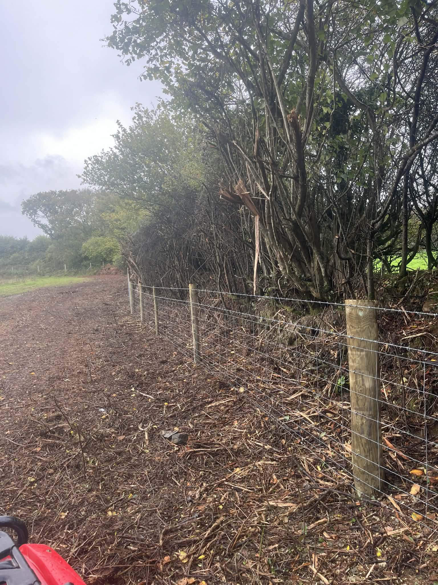 Newly installed stock fencing across pasture boundary