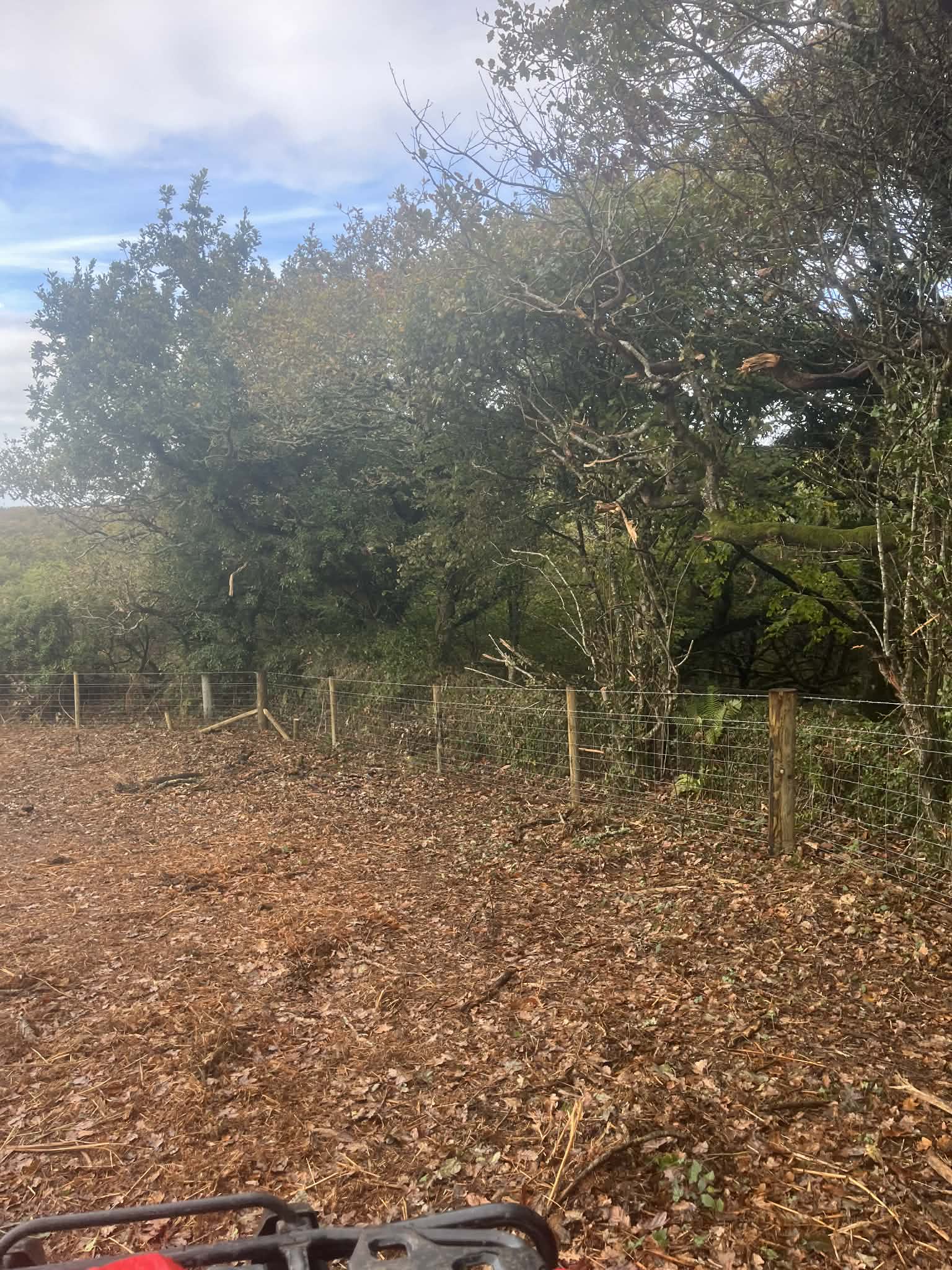 Long stock fencing line with evenly spaced timber posts