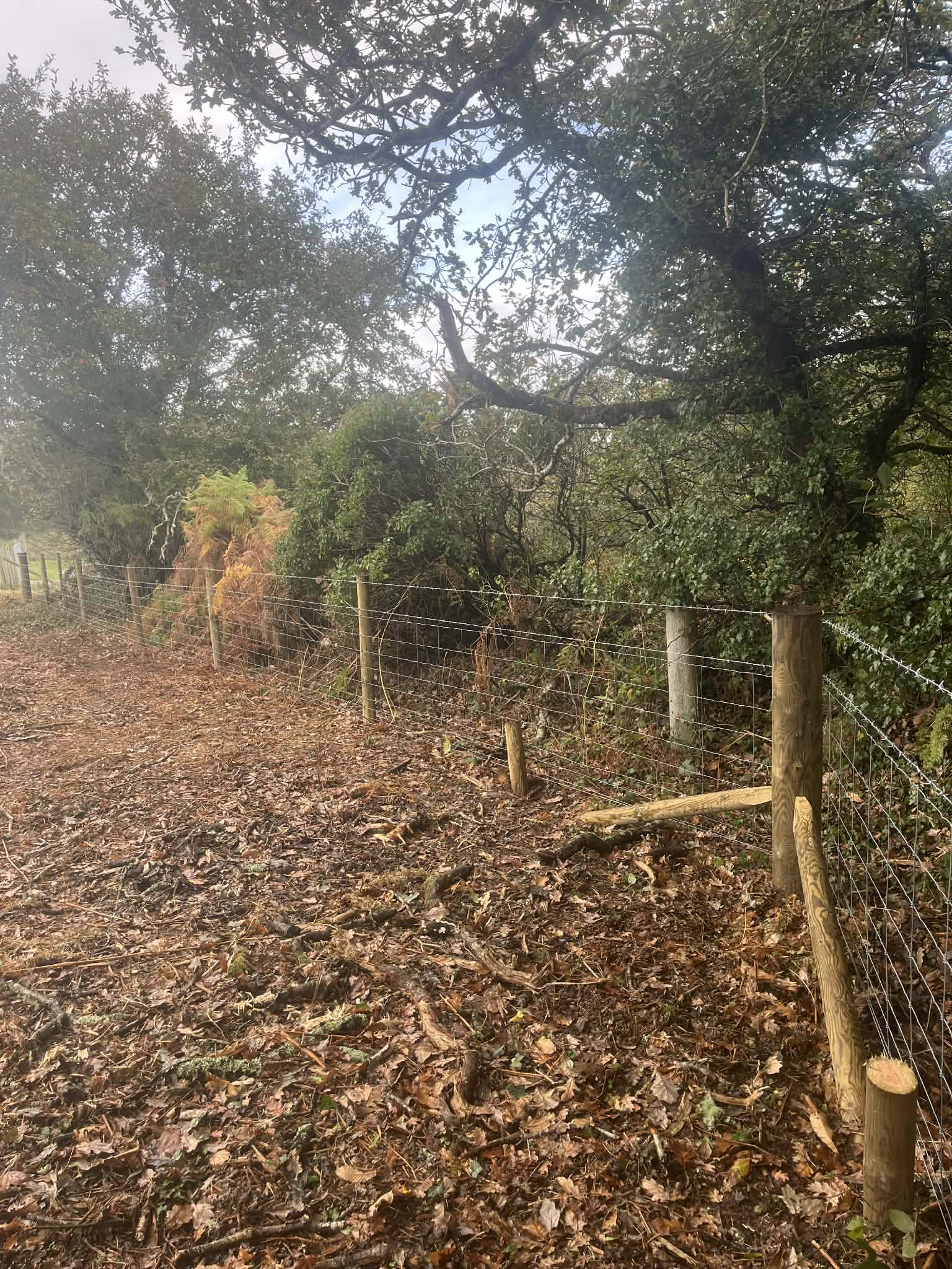 Stock fencing and gate setup on rural farmland
