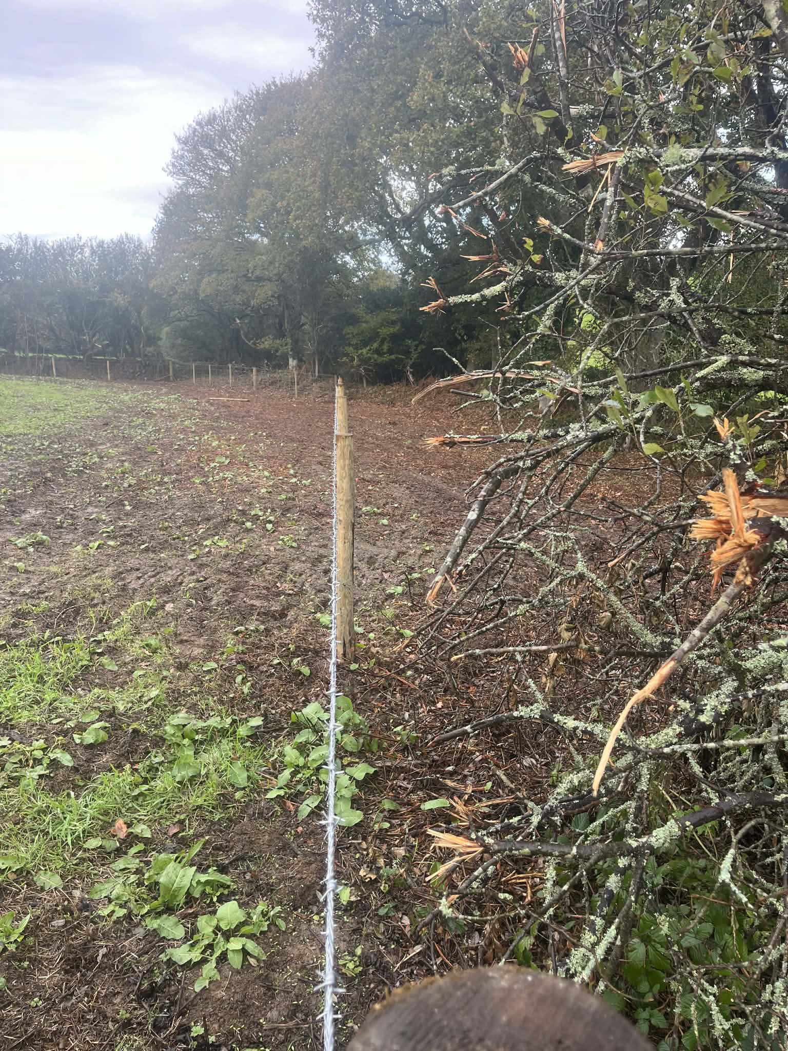 New stock fencing run through open grazing field
