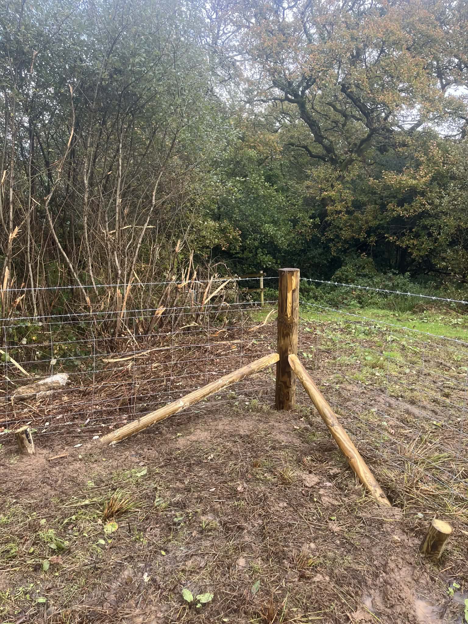 Stock fencing detail showing wire tension and post finish