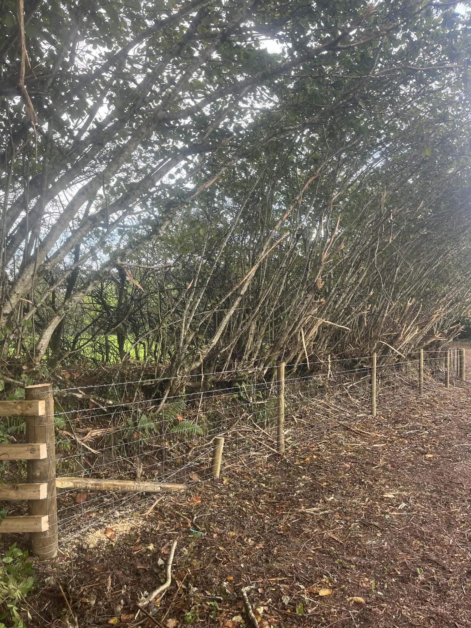 Completed stock fencing section on sloped terrain
