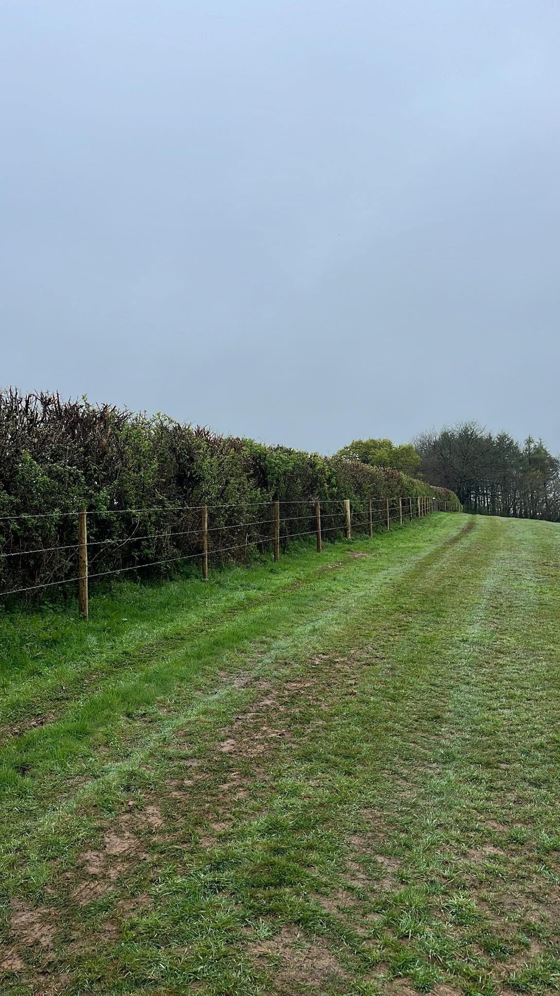 Stock fencing along hedgerow on Cornish farmland